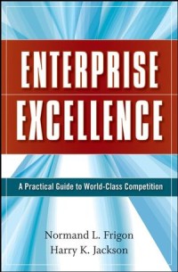 Enterprise Excellence: A Practical Guide To World-Class Competition