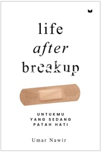 Image of Life after breakup
